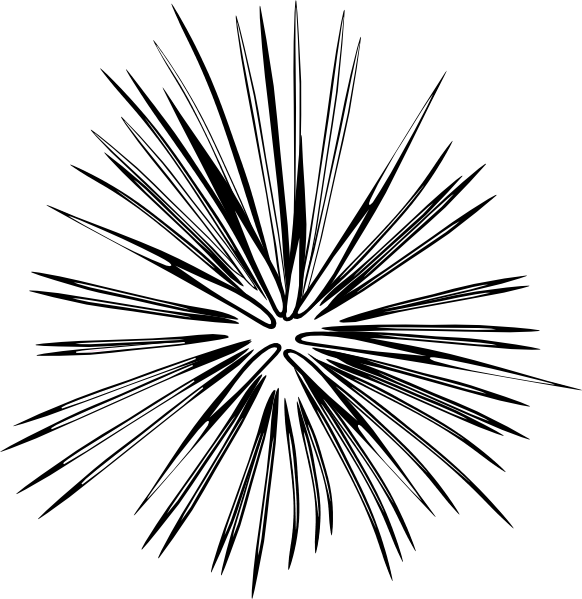 582x599 Blk Wht2 Firework Clip Art