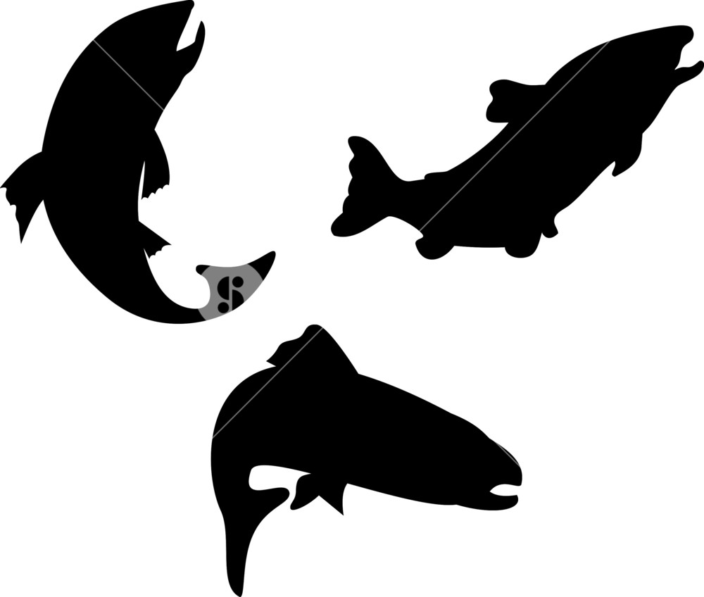 1000x848 Silhouette People Fishing In The Ocean Royalty Free Stock Image