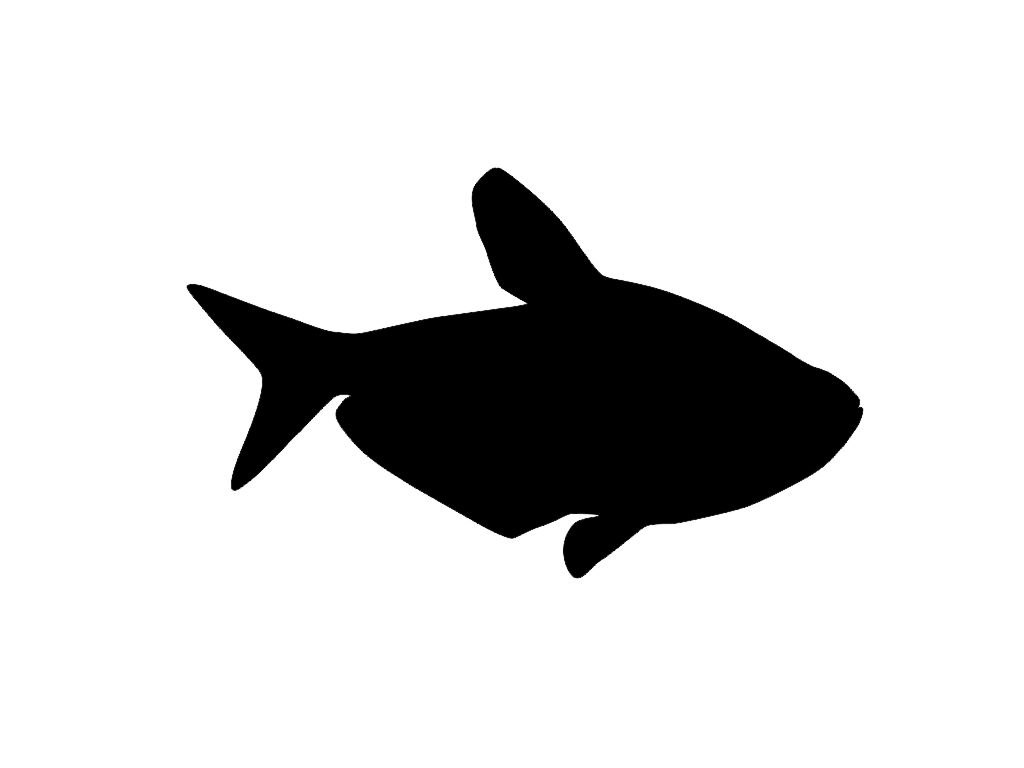 1024x768 Tropical Fish Silhouette Clipart Library