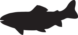 300x136 Trout Clipart Silhouette