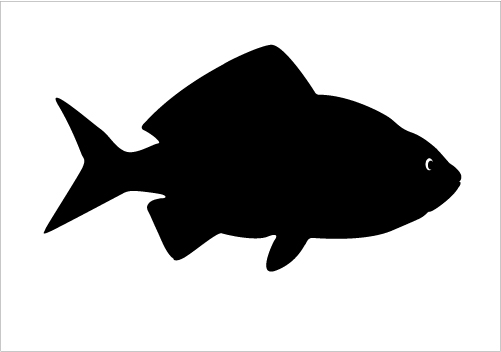 501x352 Fish Silhouette Clip Art Fishing Clipart Silhouette 14