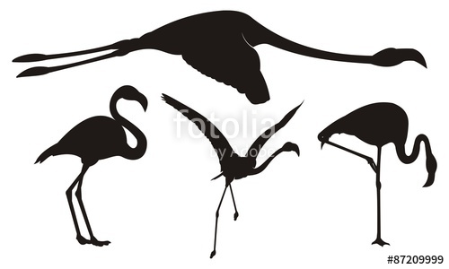 500x300 Flamingo Silhouette Stock Image And Royalty Free Vector Files