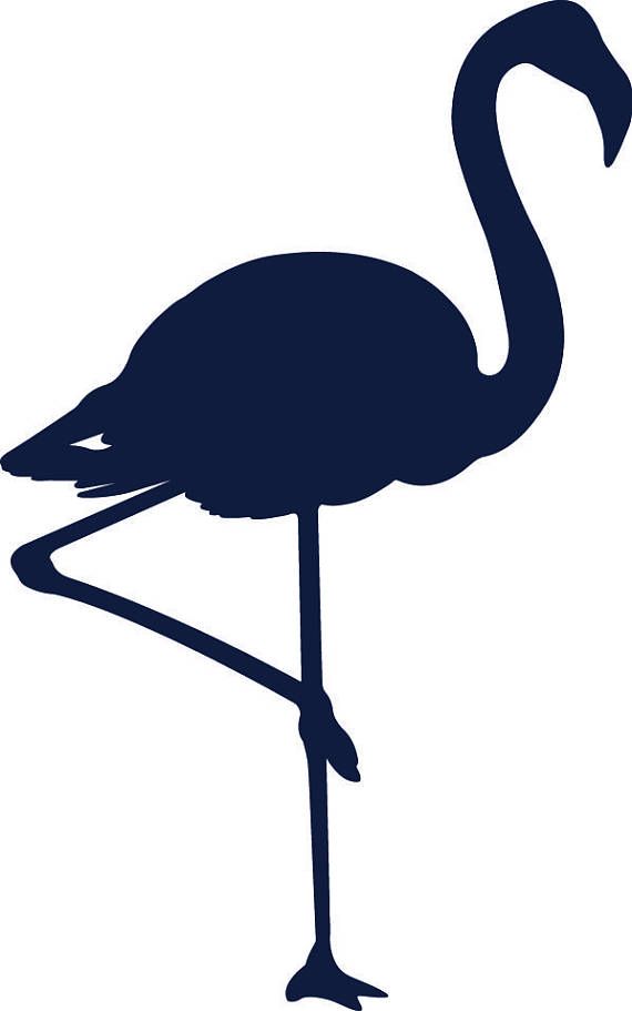 570x911 Flamingo Svg