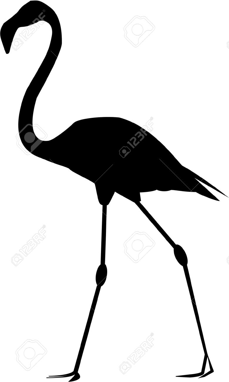 780x1300 Afbeeldingsresultaat Voor Flamingo Silhouette Clip Art Raam
