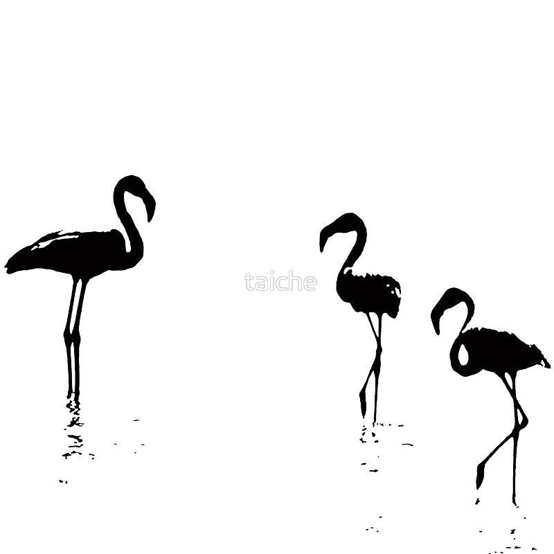 800x800 We Are The Three Flamingos Silhouette In Black Tote Bags By
