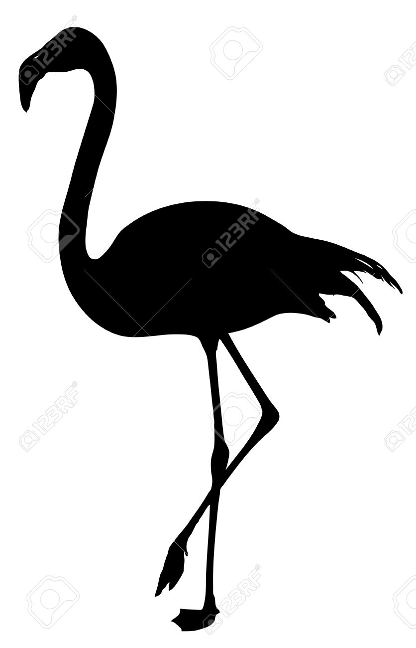 836x1300 Flamingo Silhouette On A White Background Stock Vector Clipart