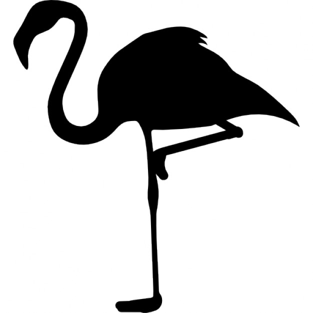 626x626 Flamingo Icons Free Download