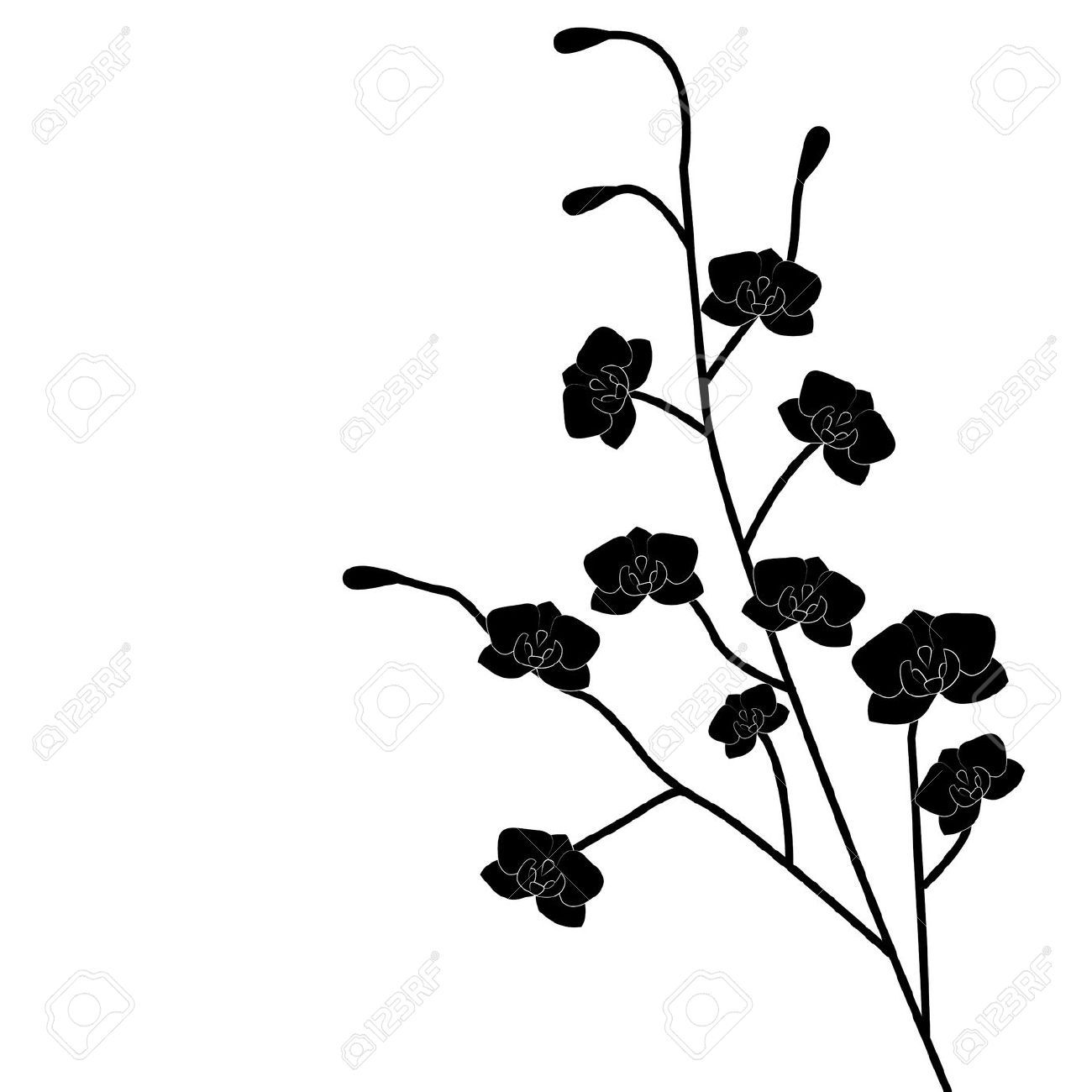 1300x1300 17470496 Abstract Beautiful Flowers Creative Design Black Orchid