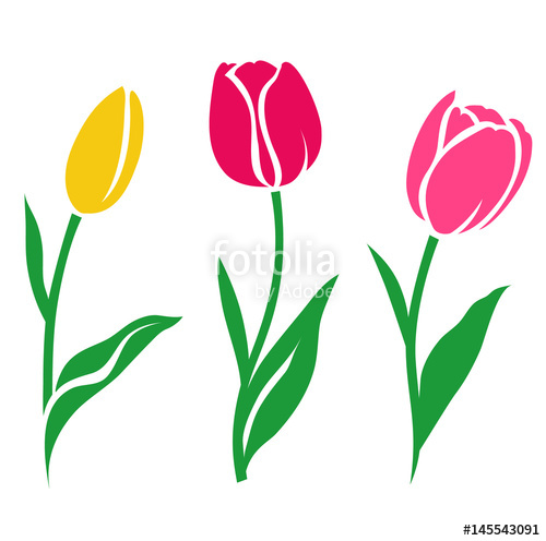 500x496 Set Of Colorful Tulip Silhouette. Vector Illustration. Collection