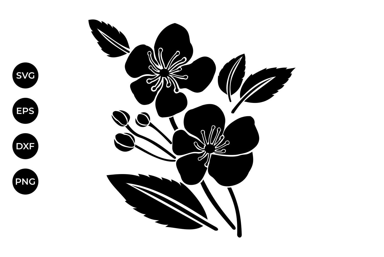 1502x1004 Cherry Flowers Silhouette Svg, Cherry F Design Bundles