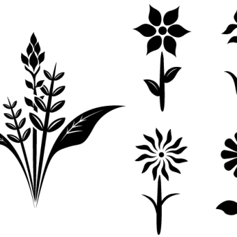 340x340 Vector Pinstripe Designs 123freevectors