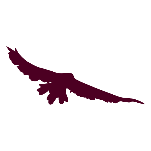 512x512 Flying Bird Sequence Silhouette