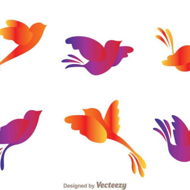 650x650 Free Vector Colorful Flying Bird Silhouette Vectors