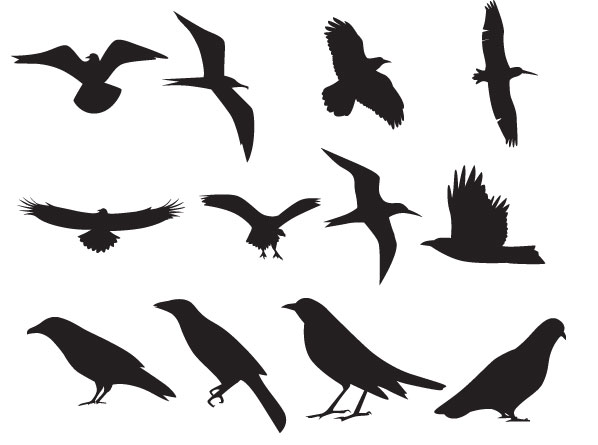 598x445 Vector Bird Silhouette Flying Clipart