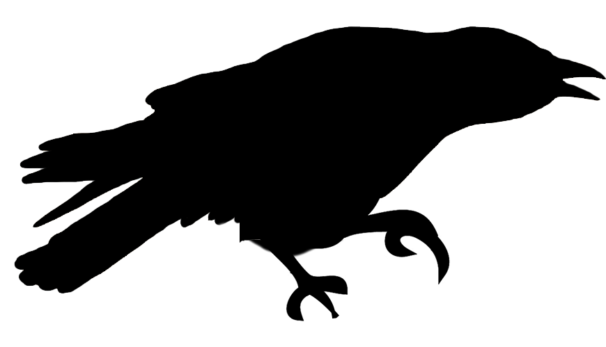 870x499 Bird Silhouettes