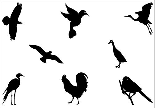 502x351 Birds Vector Graphics Archives Page 2 Of 2 Silhouette Clip