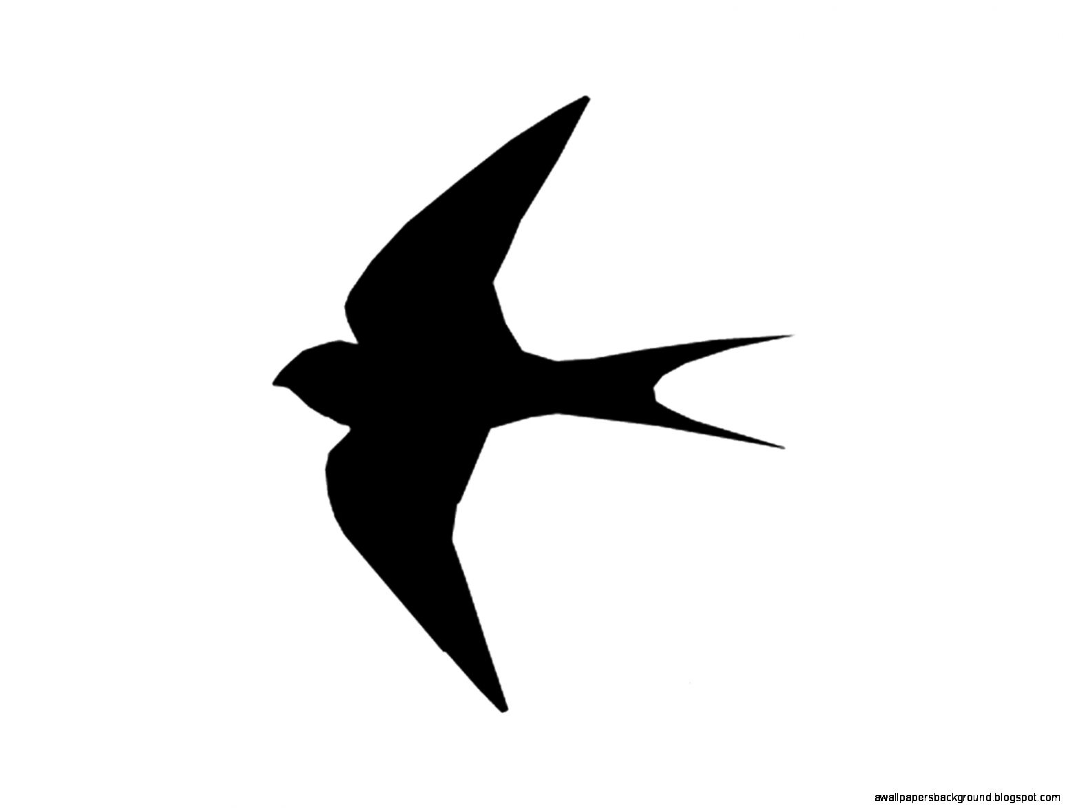 1551x1173 Single Flying Bird Silhouette Wallpapers Background
