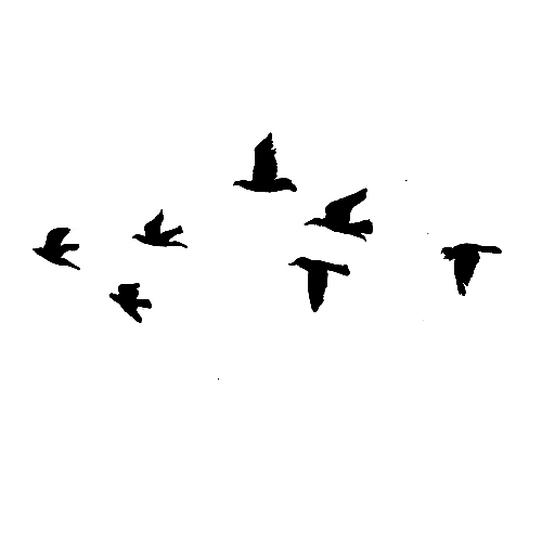 500x500 Flying Birds Clipart Png 4 Clipart Station