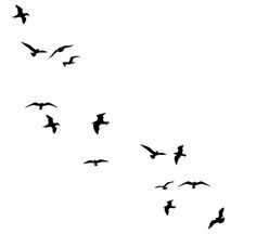236x216 Birds Flying Away Silhouette Line Bird Inky