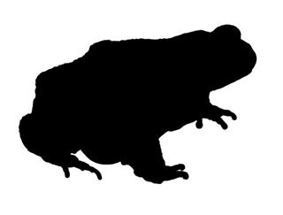 320x243 Frog Silhouette 1 Decal Sticker