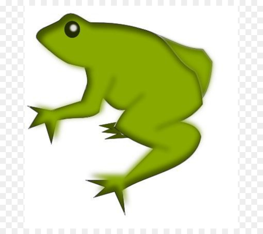 900x800 Frog Clip Art