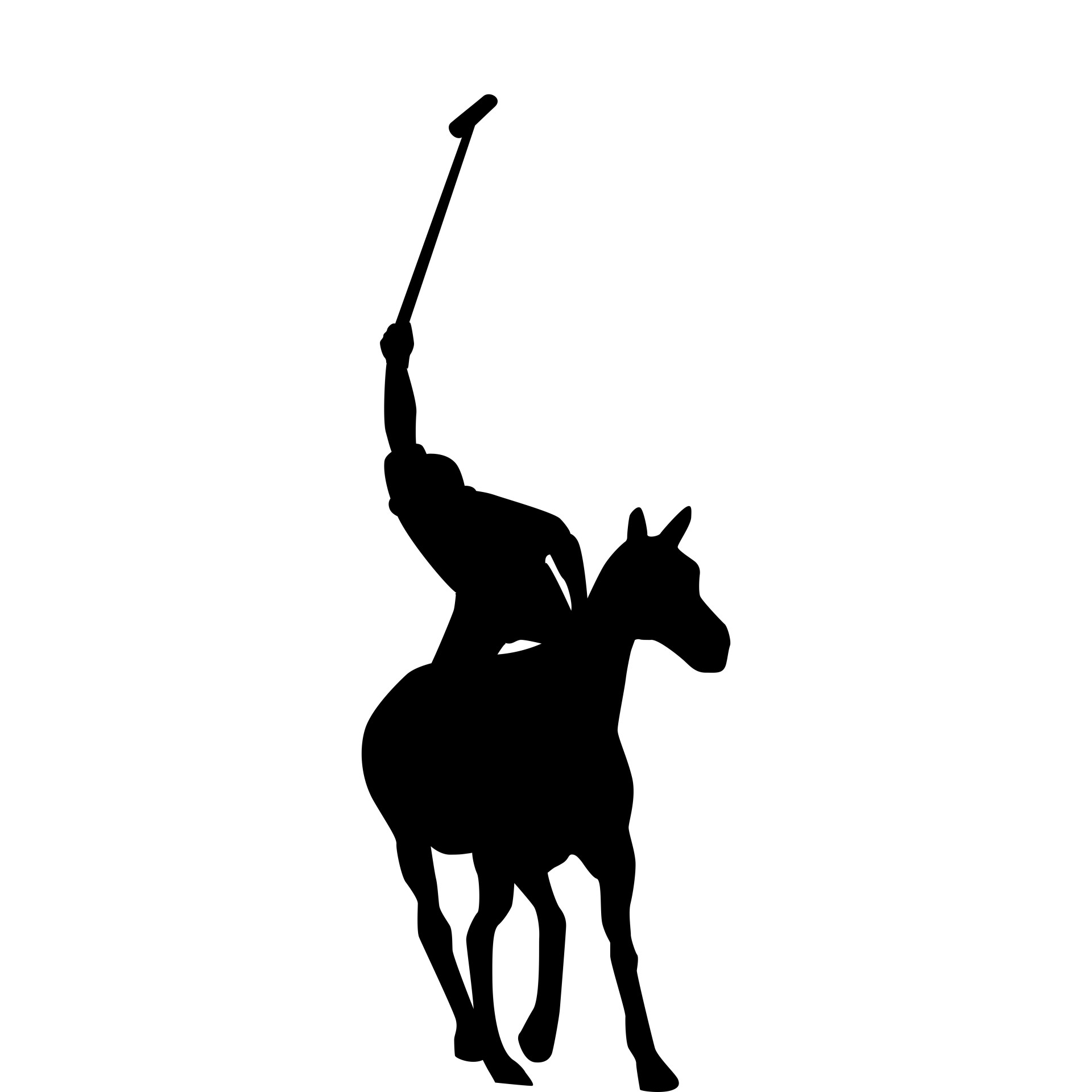 1920x1920 Polo Game Free Stock Photo