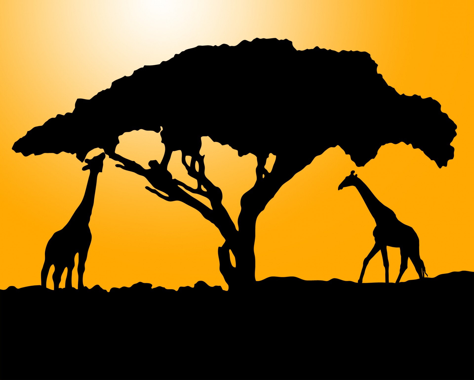 1920x1539 Giraffe Silhouette At Sunset Free Stock Photo