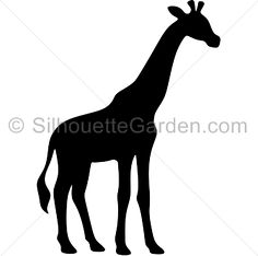 236x234 Free Giraffe Clip Art Image Silhouette Of A Giraffe In Africa