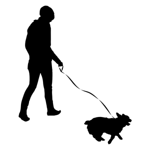 300x300 Woman Walking Dog Silhouette Clipart, Cliparts Of Woman Walking