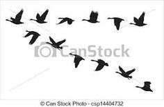 236x155 Bali Stencils Silhouette Canada Goose And Canada