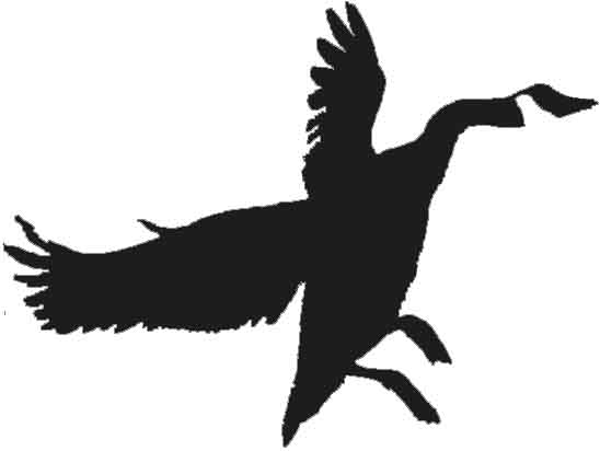 548x412 Lampl Engineering