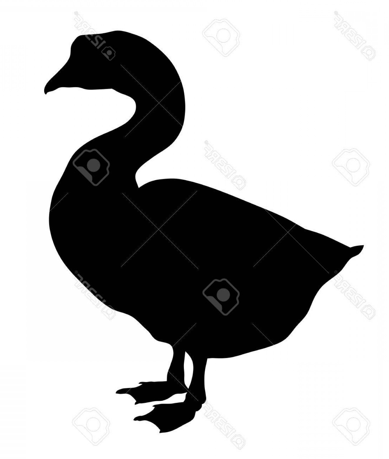 1320x1560 Photostock Vector Vector Illustration Of Goose Silhouette