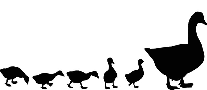 700x305 Newborn Gosling And Goose Silhouettes Isolated On White Wall Mural