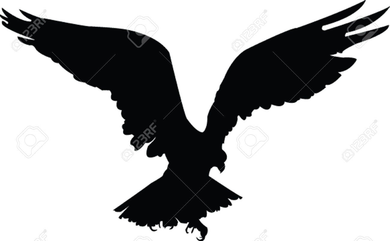 1300x804 Hawk Silhouette