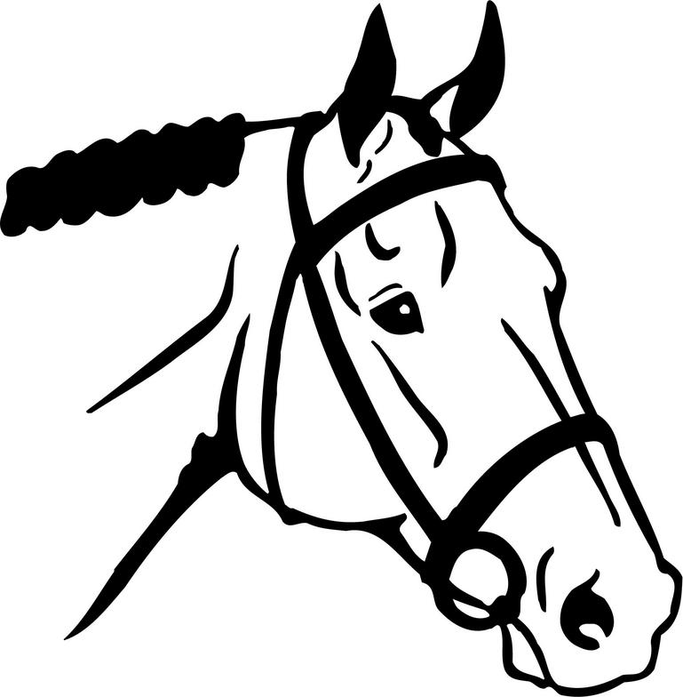 769x784 Free Horse Head Clipart Image