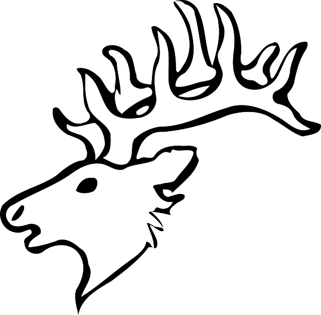 640x627 Head, Silhouette, Face, Skull, Cartoon, Deer, Heads