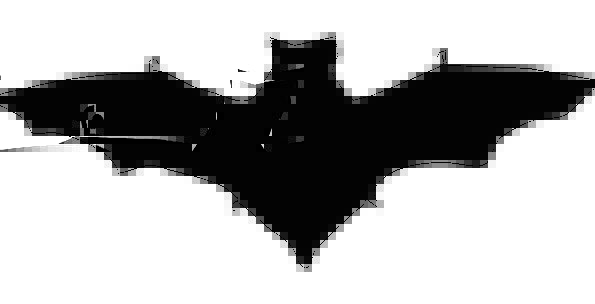 595x304 Bat, Racket, Silhouette, Outline, Dracula, Mammal, Creature