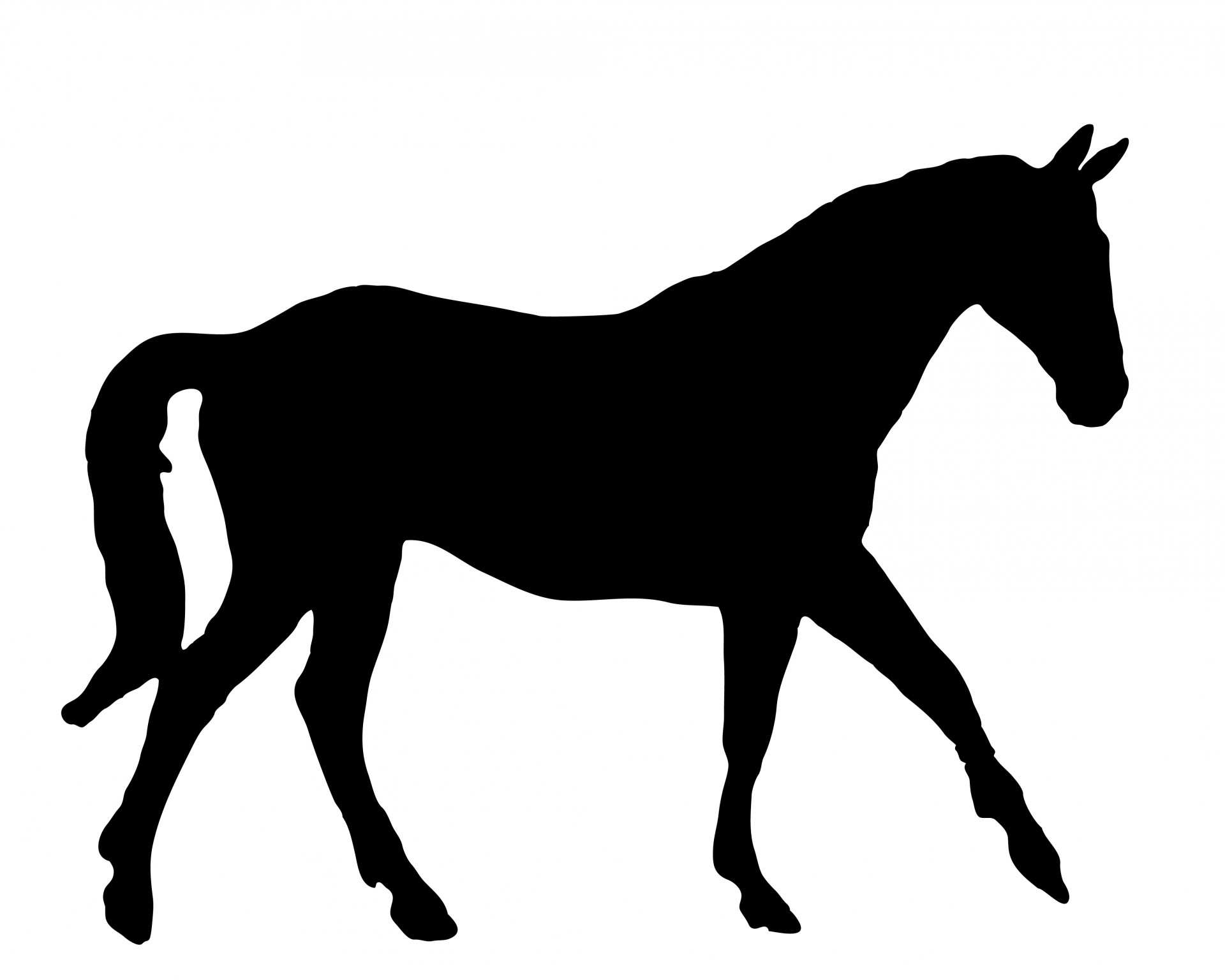 1920x1536 Horse Black Silhouette Free Stock Photo