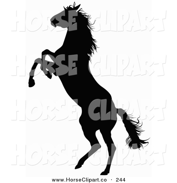 600x620 Rearing Horse Clipart