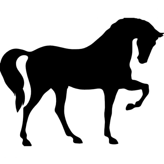 626x626 Horse Silhouette Vectors, Photos And Psd Files Free Download
