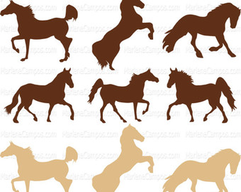 340x270 Horse Image Etsy