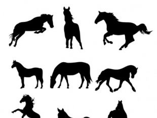 310x233 Horses Silhouettes Free Vector Free Vectors Ui Download