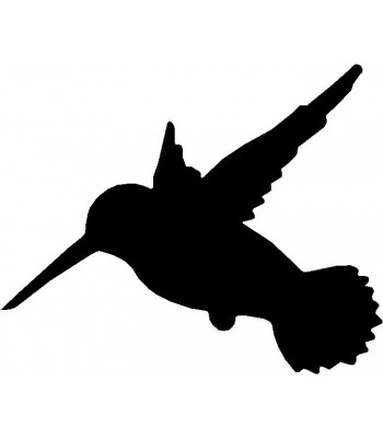 350x400 Hummingbird
