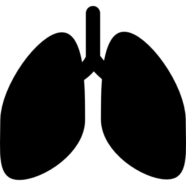 626x626 Lungs Silhouette Icons Free Download