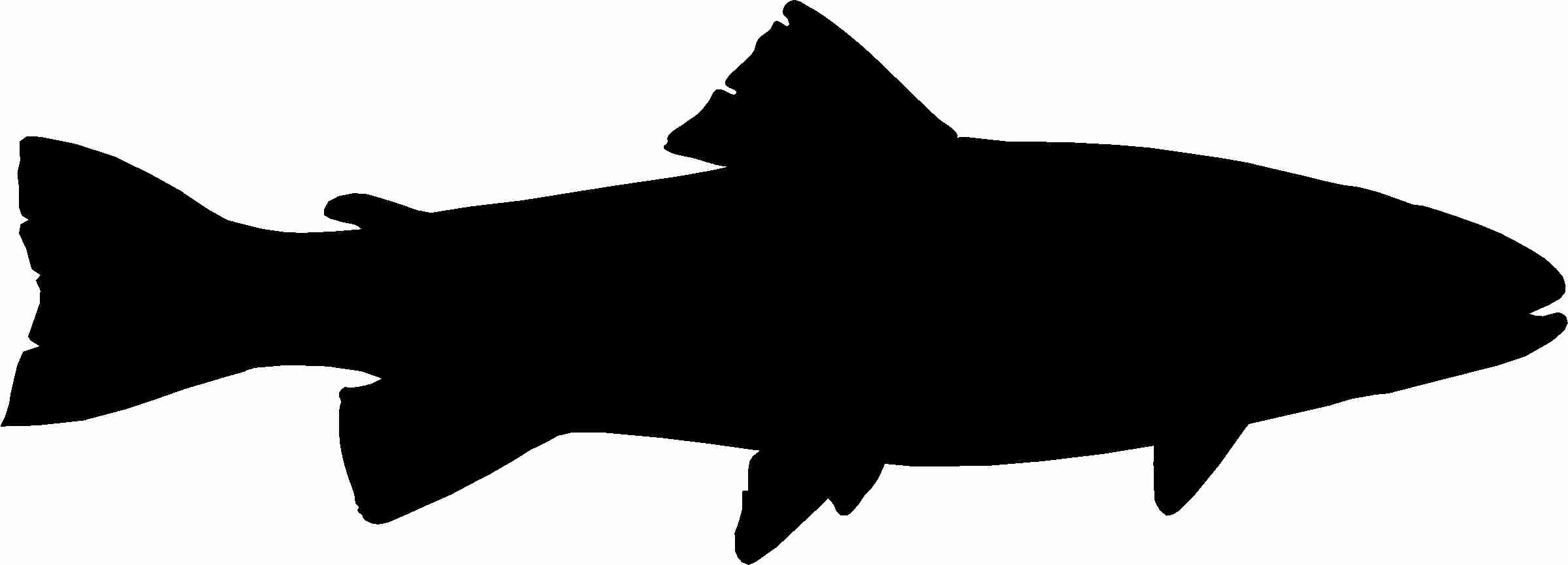 2400x866 Trout Silhouette Icons Png Free And Downloads Brilliant