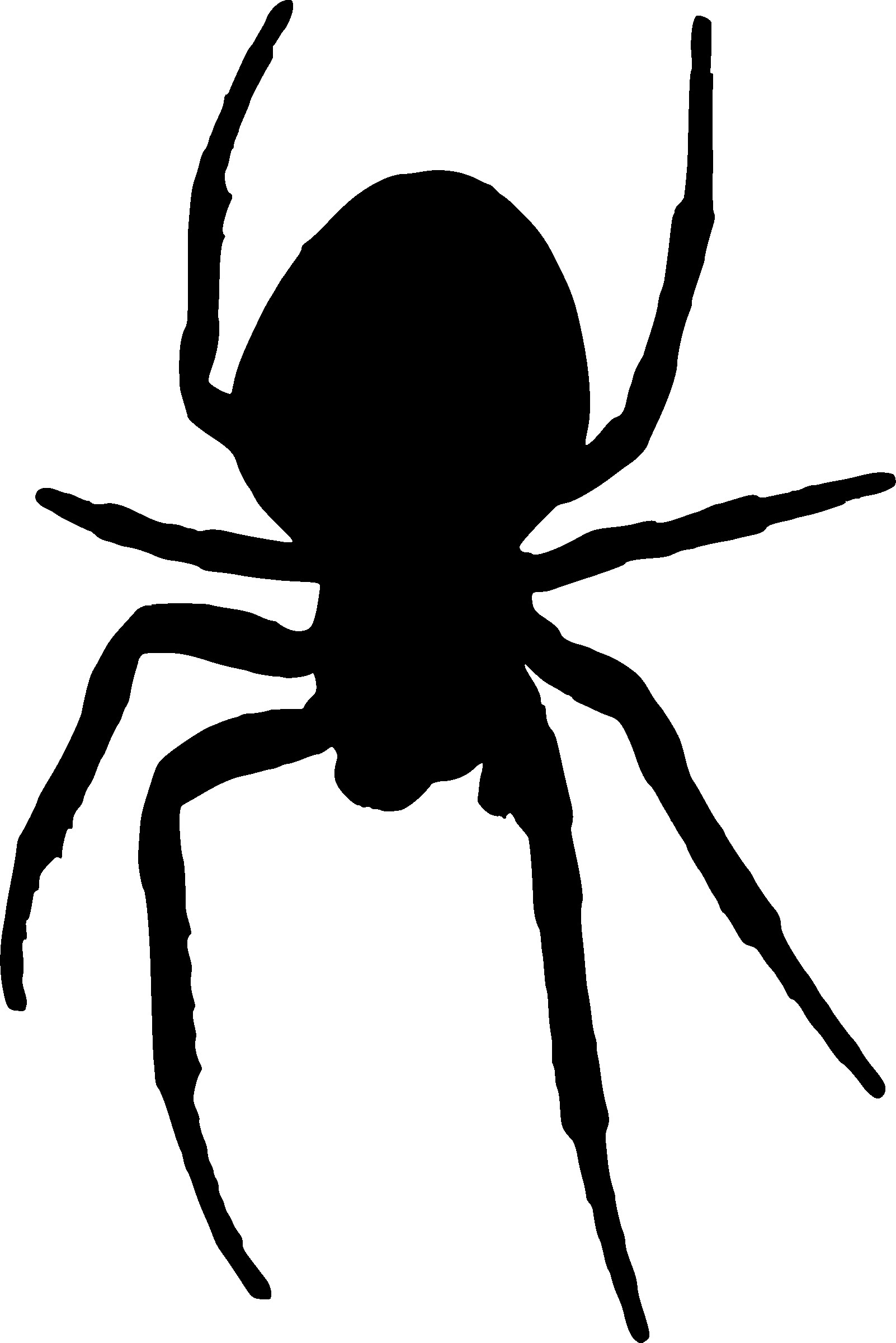 1602x2400 Spider Insect Black Silhouette Animal Vector Illustrator Stock