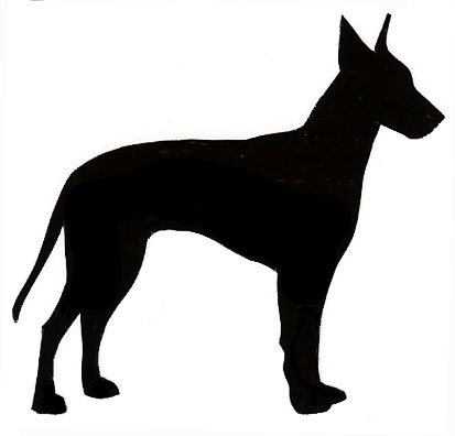 413x396 Greater Swiss Mt. Dog