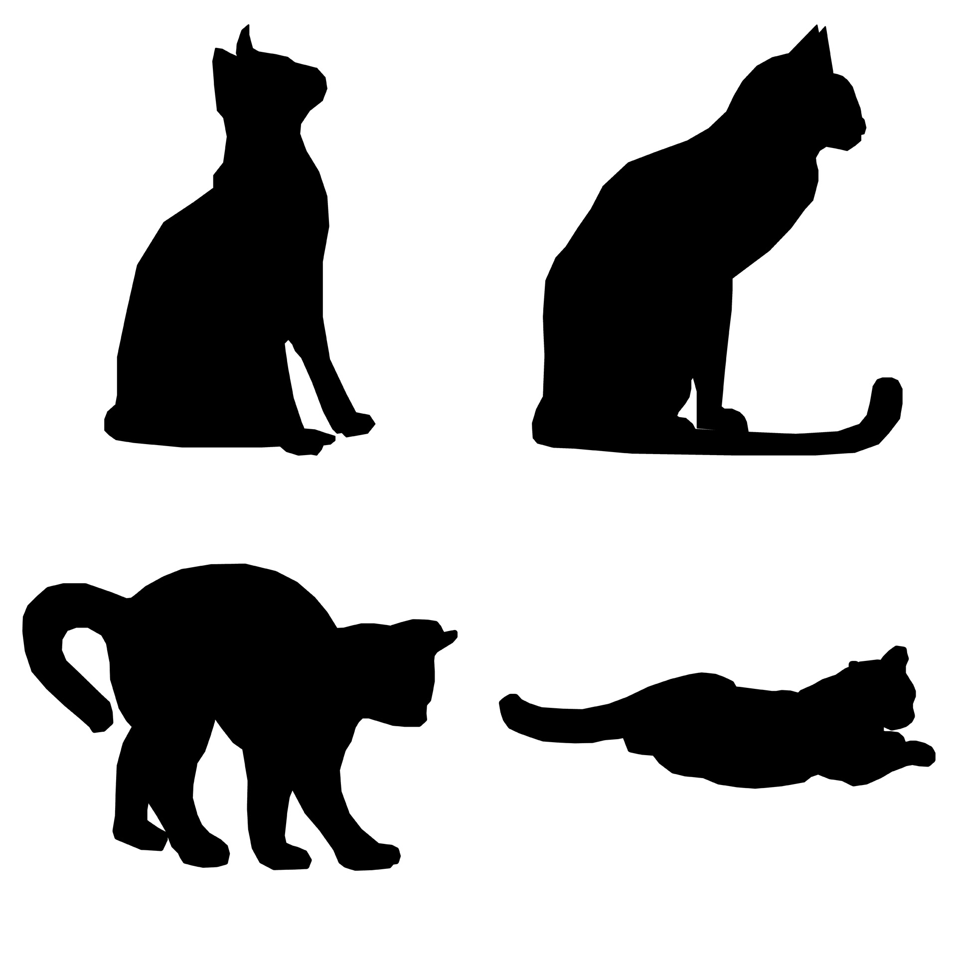 1920x1920 Cats Silhouettes Free Stock Photo