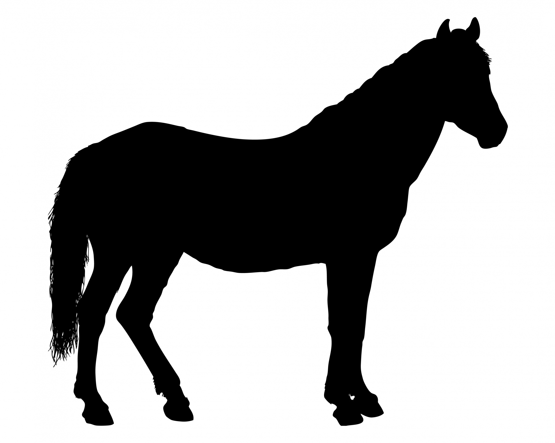 1920x1535 Horse Silhouette Free Stock Photo