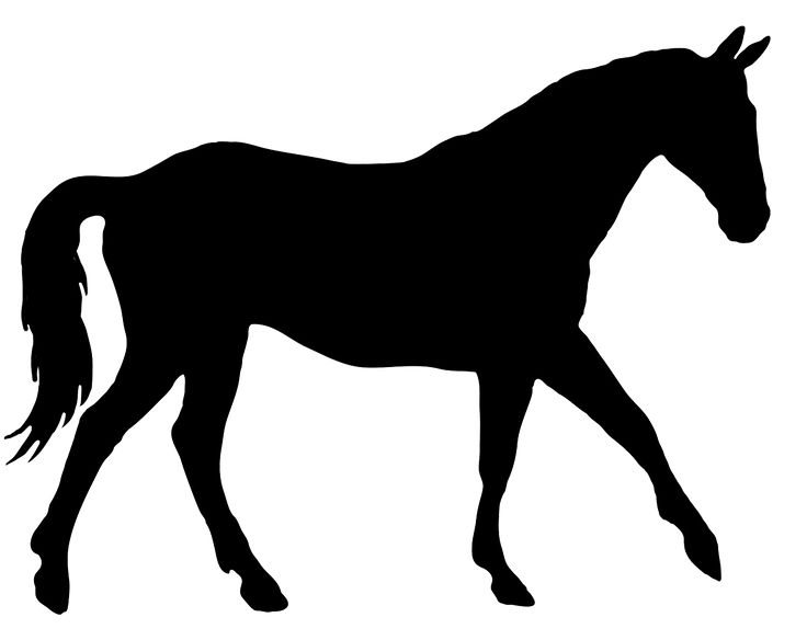 736x584 8 Best Horse Stuff Images On Horse Silhouette, Horses